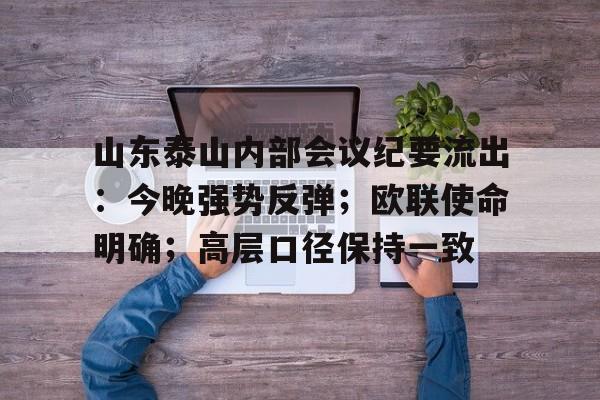 Leyu sports-山东泰山内部会议纪要流出：今晚强势反弹；欧联使命明确；高层口径保持一致-Leyu sports